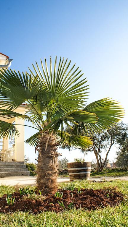 Guest House Croatia Fažana Buitenkant foto
